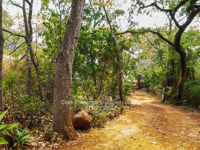 Prime 1 Acre Panhandle Stand in a Beautiful Setting! (Sole Mandate)