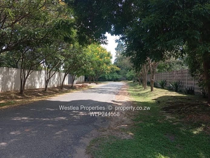 Grab this massive gem