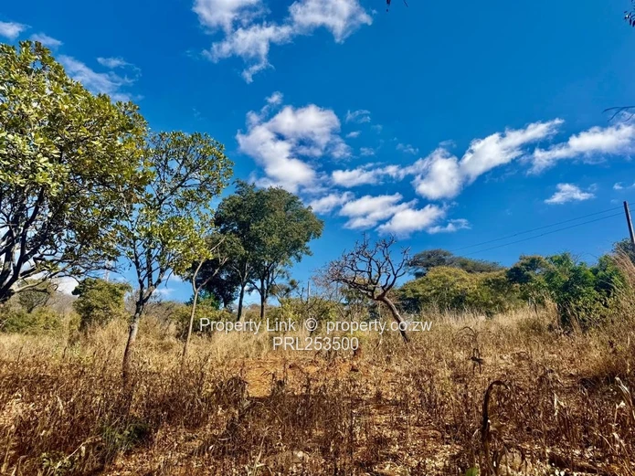 Premium Stand For Sale - Glen Lorne