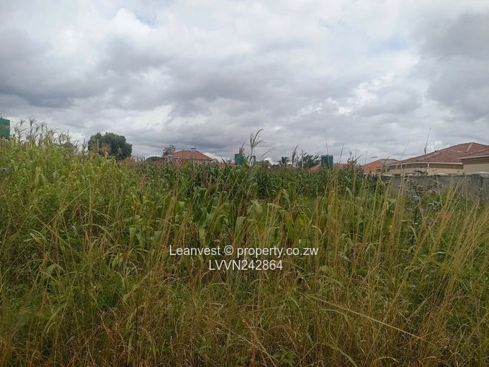 Goodhope Stand For Sale 