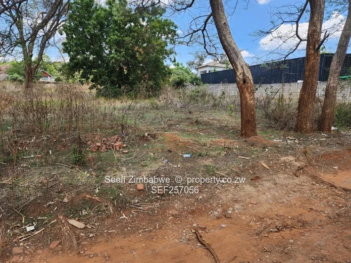 Rare Prime Find: Build Your Dream Home in Affluent Glen Lorne