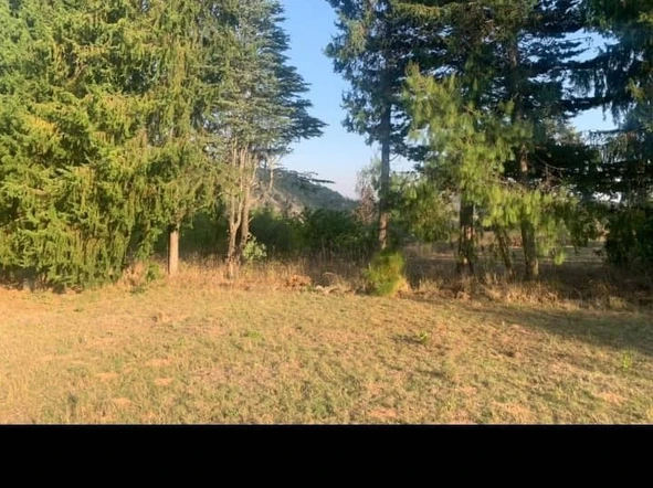 Land In Nyanga [Airdale Area]