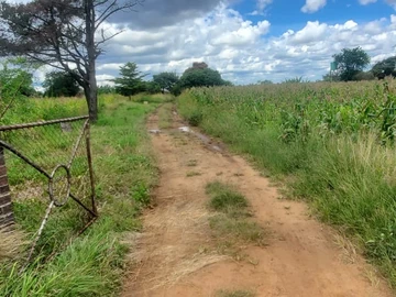 Farm & Agricultural Land