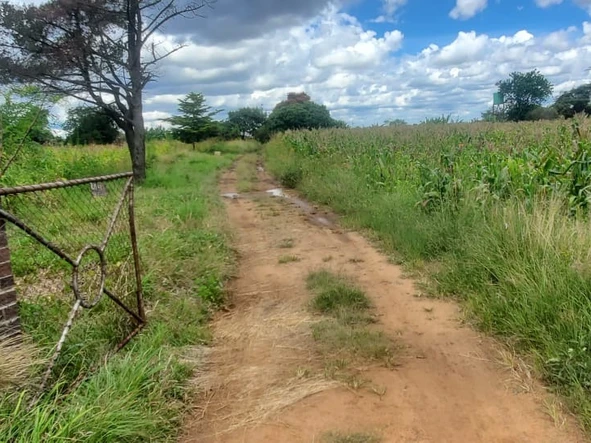 Farm & Agricultural Land