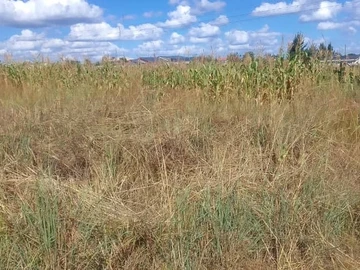 Commercial & Industrial Land