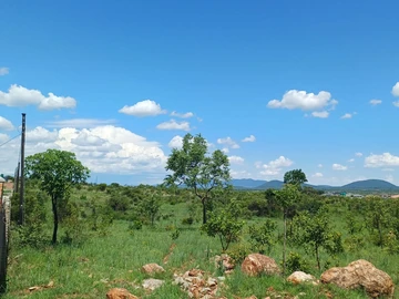 Commercial & Industrial Land