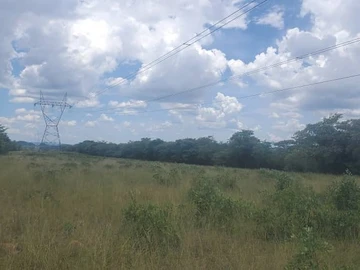 Farm & Agricultural Land