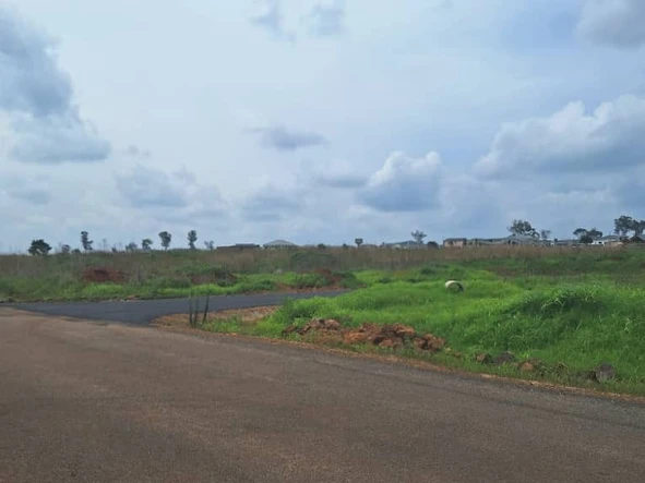 Stands & Residential Land