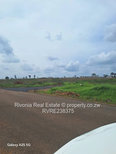 Nyeredzi Pomona stands fully serviced 