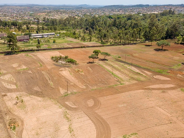 Farm & Agricultural Land