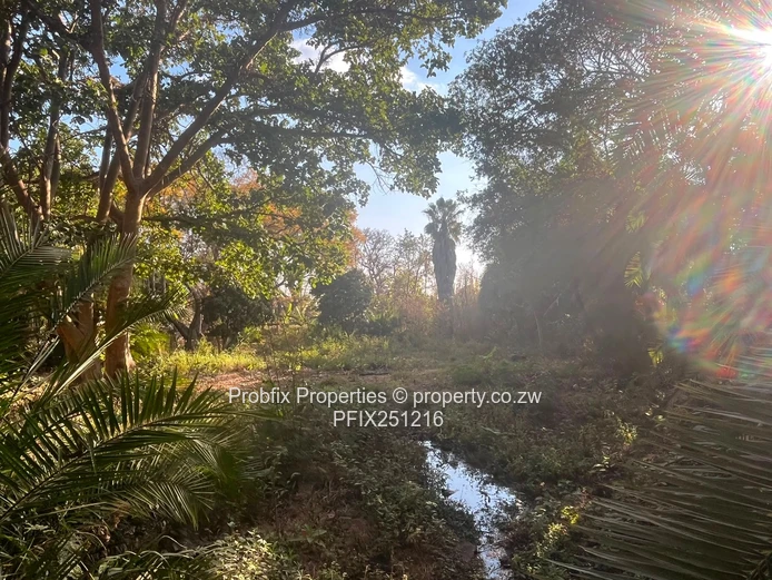 Prime Commercial Land For Sale In Avondale