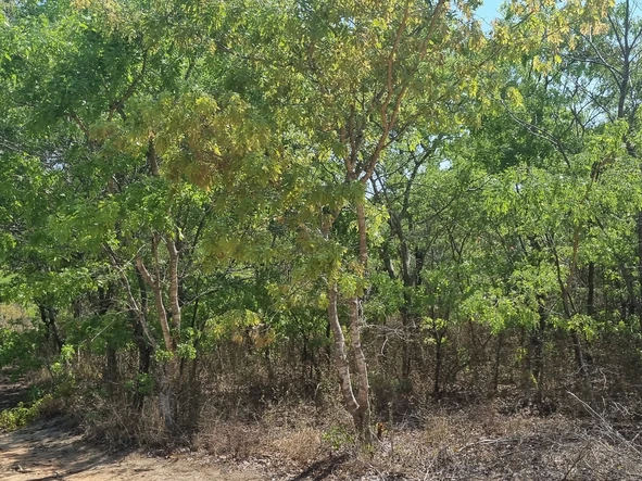 Farm & Agricultural Land