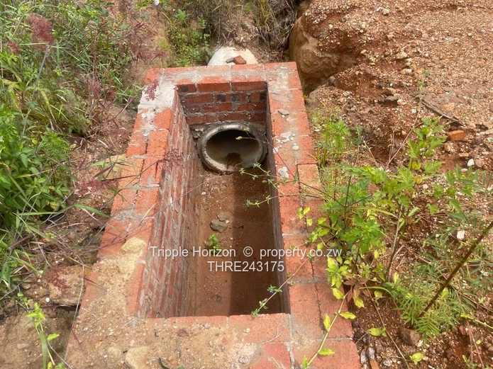 Stands Galore!! Investment Opportunity 