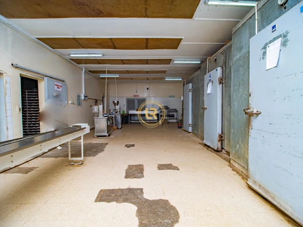 Shop & Retail Property