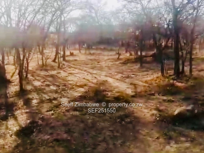 Prime Agri-Residential Plots in Kwekwe: Unleash the Potential!