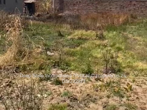 Westgate stand for sale (Gated community) 