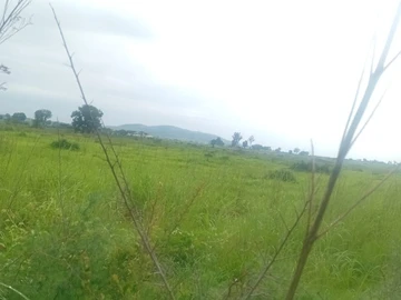 Commercial & Industrial Land