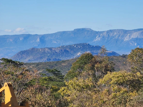 Farm & Agricultural Land