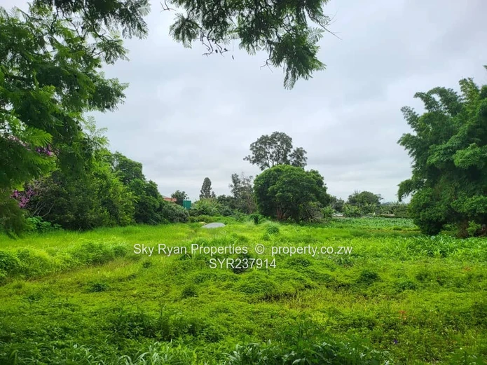 Mabelreign Stand For Sale