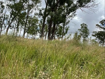 Commercial & Industrial Land