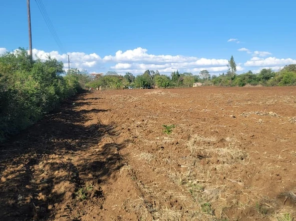Farm & Agricultural Land