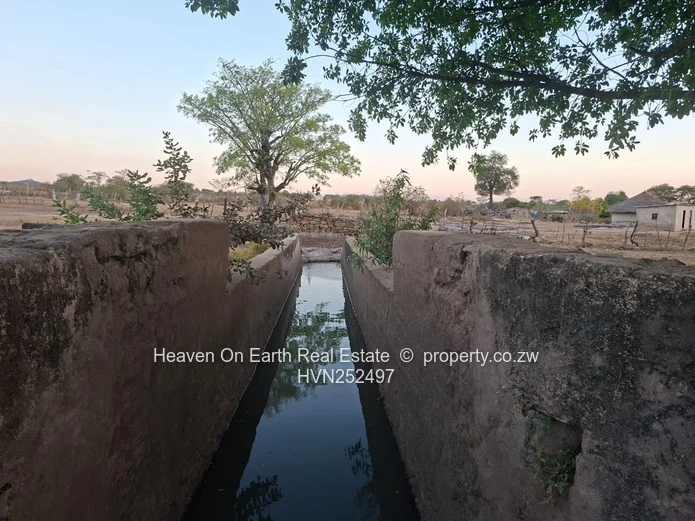 Beautiful plot for sale with a plunge dip
