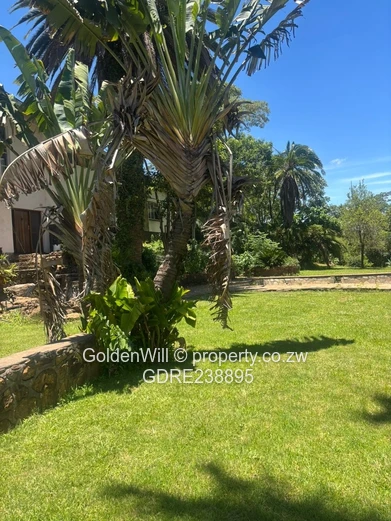 Greystone park House to rent 