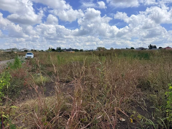 Stands & Residential Land