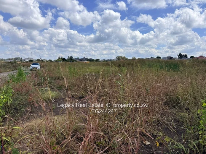 Good Investment Opportunity - Corner Stand in a Prime location.