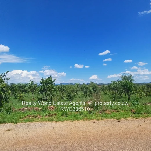 Masvingo Clipsham Stand For A School 