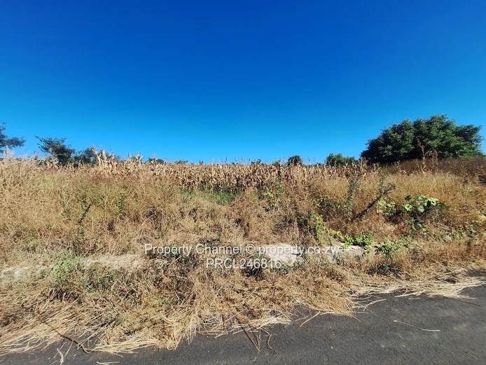 Your Dream Home Starts Here . . .