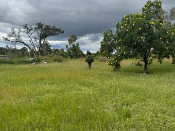 Farm & Agricultural Land