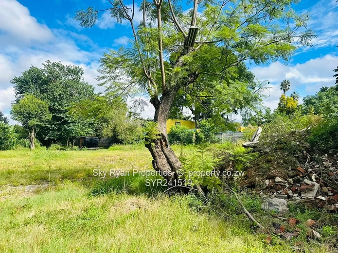 Avondale Stand For Sale