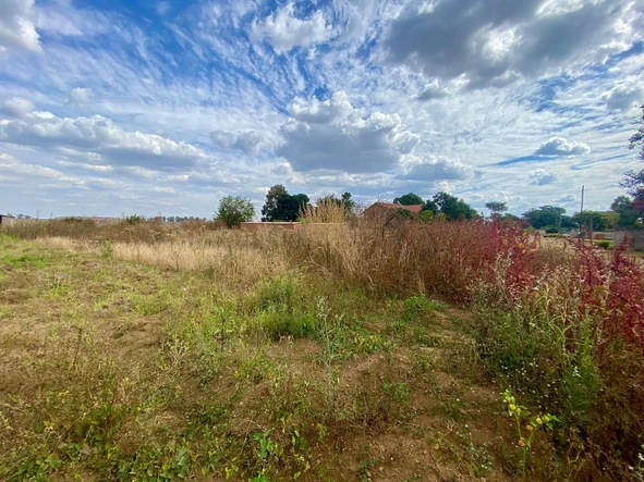 Stands & Residential Land