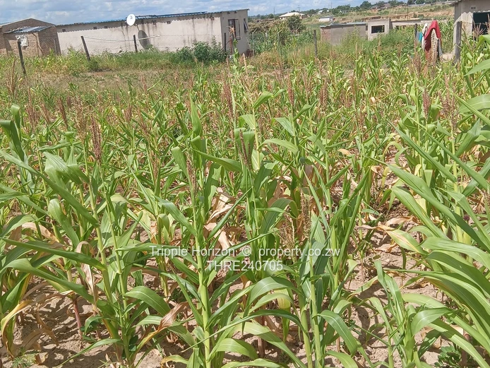 Stoneridge Stands For Sale (2) (Sole Mandate)