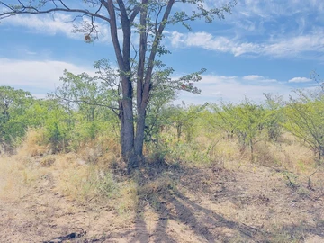 Commercial & Industrial Land