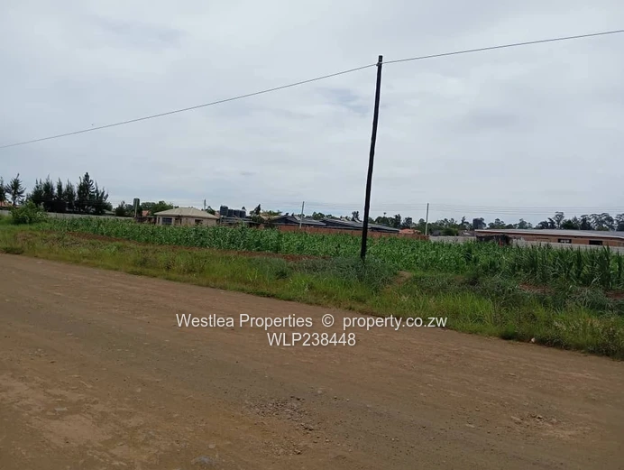 An opportunity not to miss