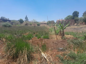 Stands & Residential Land