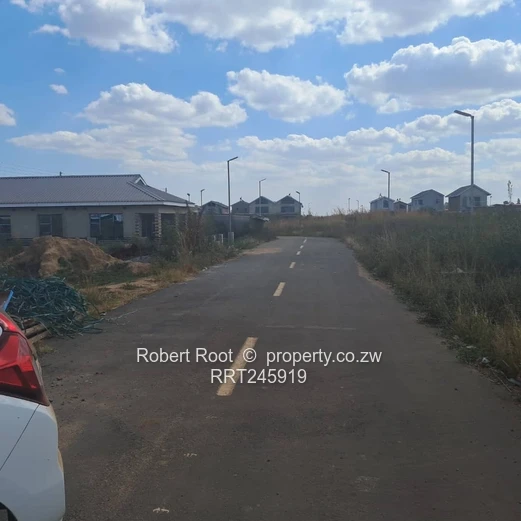 An investment opportunity (Sole Mandate)