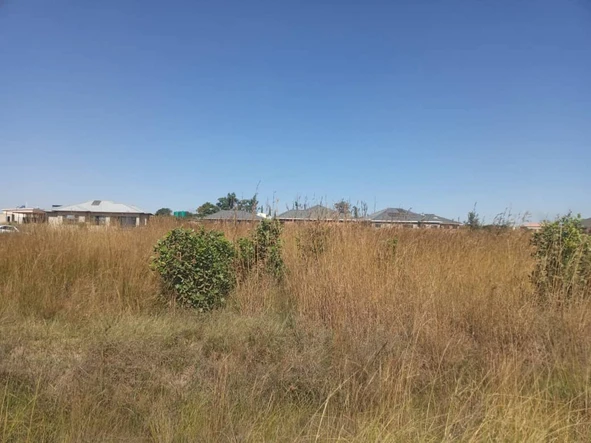 Stands & Residential Land