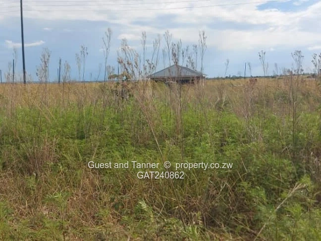 A Choice of 2 Nyabira Rosewood Stands for Sale