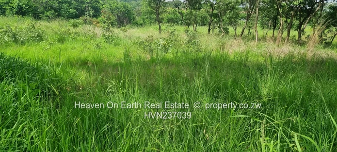 A Rare Opportunity To Own A Stand