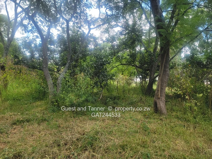 A Choice Of Two Properties For Sale In Colne Valley 