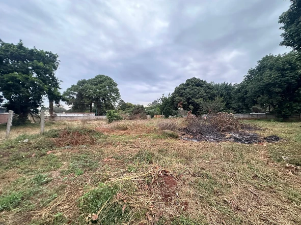 Stands & Residential Land