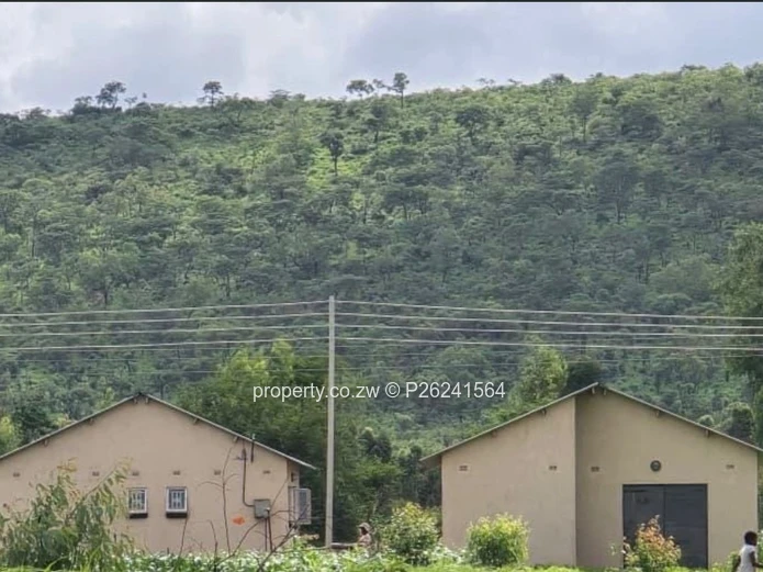 A choice of 3 - Three bedroomed Norton Knockmallock houses for sale