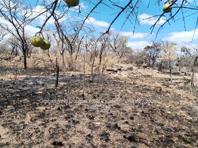 Bulawayo Fortunes Gate pieces of land for sale