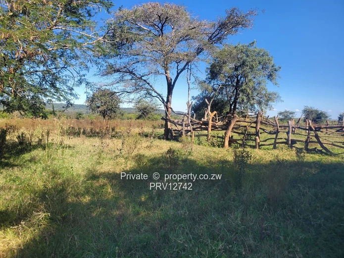 2 options available is a 5ha MARONDERA FARM PLOTS  FOR SALE and 2.Nyazura Farm 51ha size (Sole Mandate)