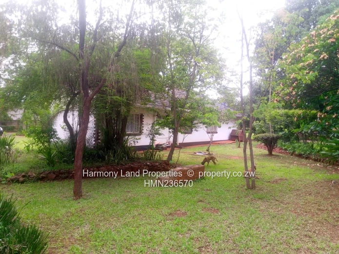 Mt Pleasant- 4 Bedroomed House To Let