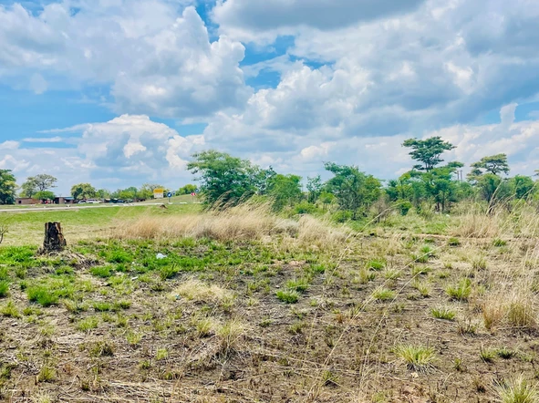 Farm & Agricultural Land