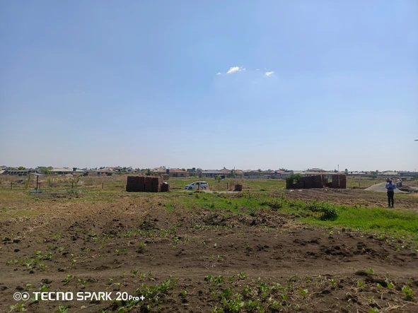 Stands & Residential Land